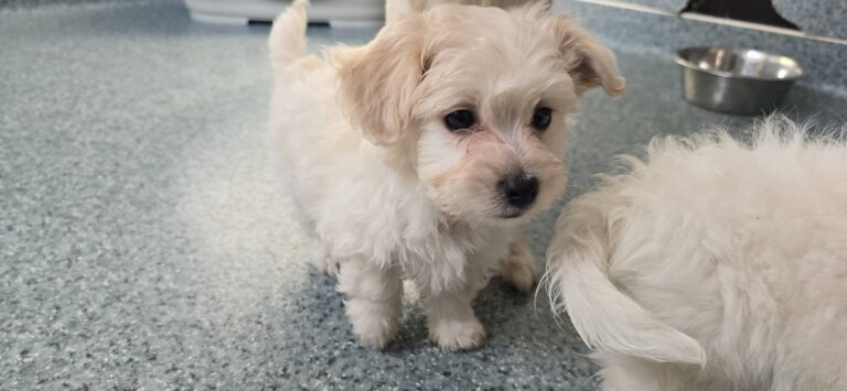 627528412_3401296090032676_3464403082002501021_n