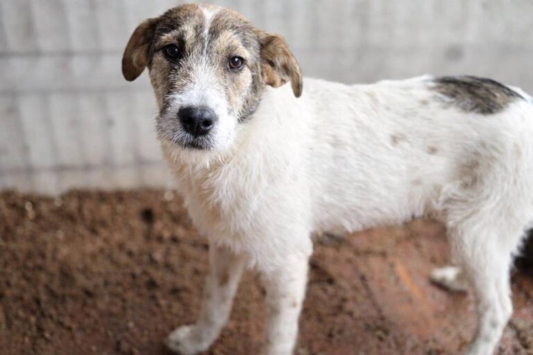 628983499_26707182228868754_4554327725472506811_n