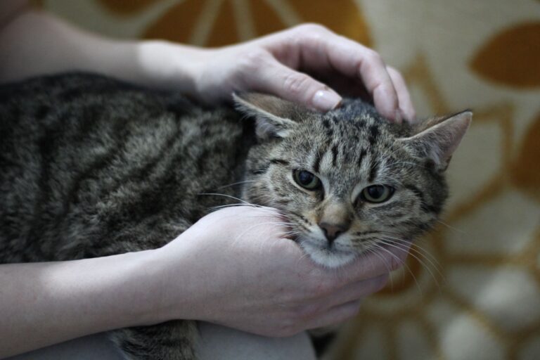 629135017_26142070552072391_6488930280393119653_n