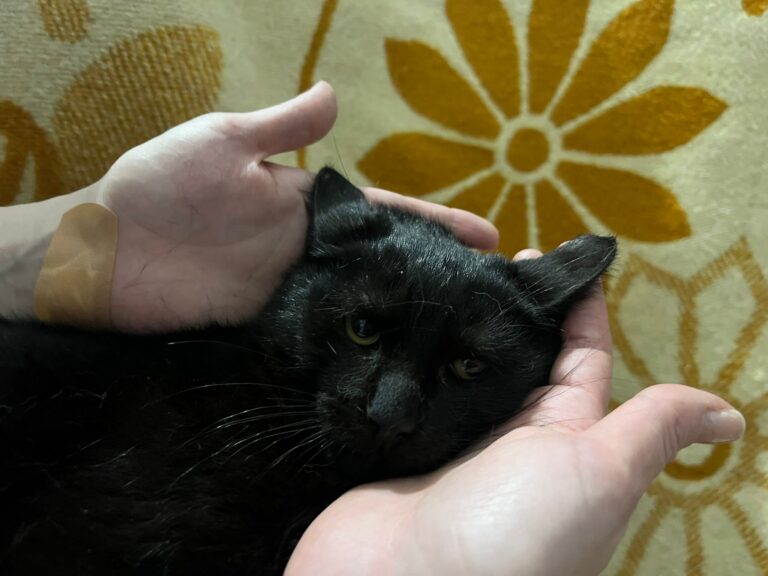 629190629_26142169108729202_8299046008769983337_n