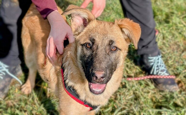 629240967_3388516871299036_793224371174168751_n