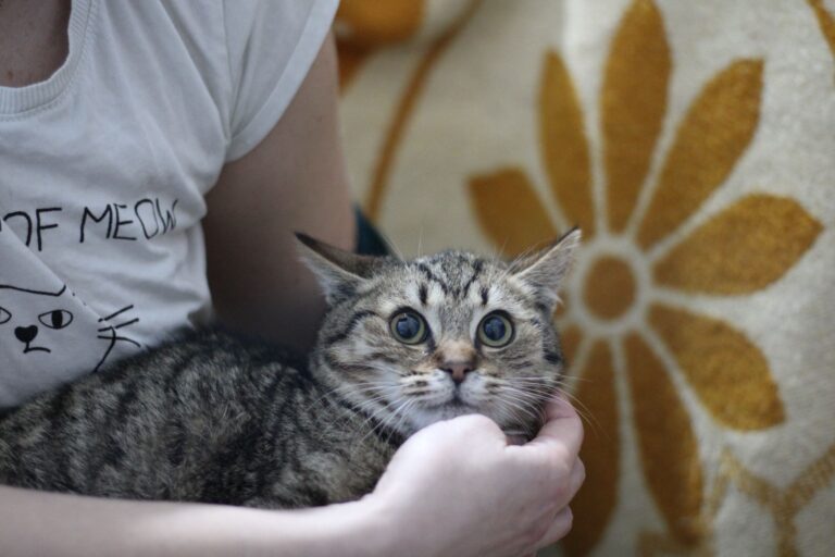 629251117_26142113905401389_7915732871819370523_n