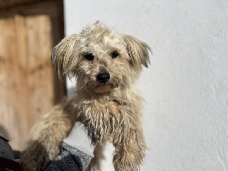 629298970_4194132574169879_1972096320312283818_n