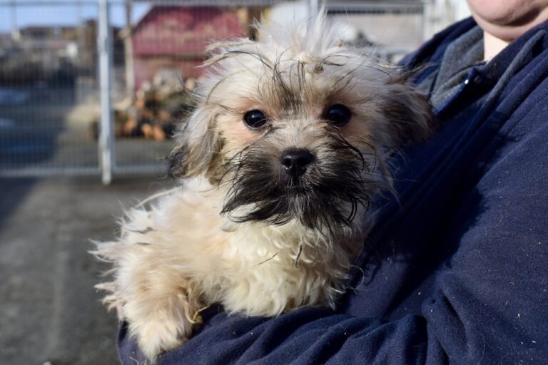 629306116_4195924900657313_3789464204682094951_n