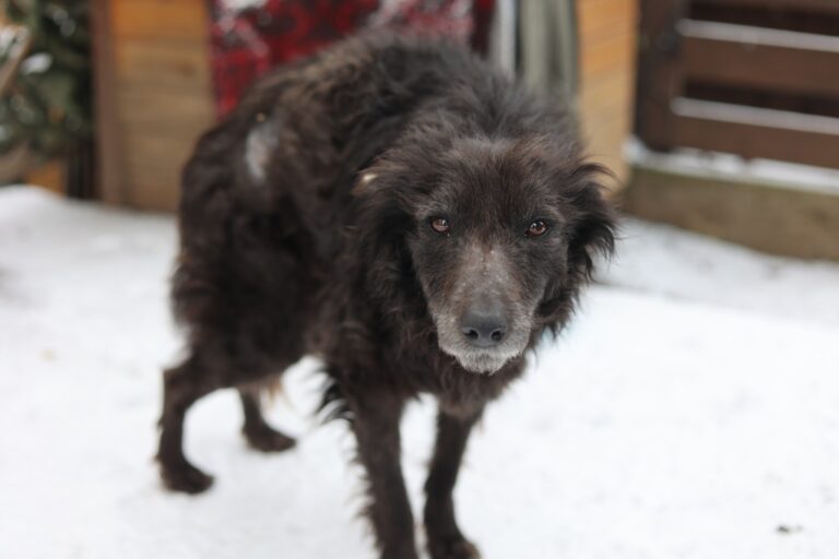 629337321_25785058547853223_5068757459026261288_n