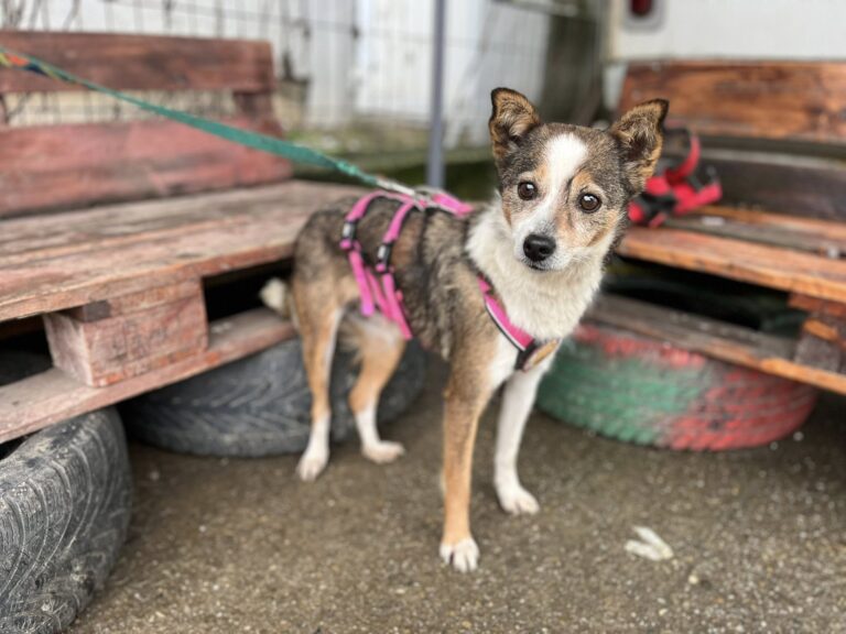 630189915_10241443823016397_3080968280430333553_n