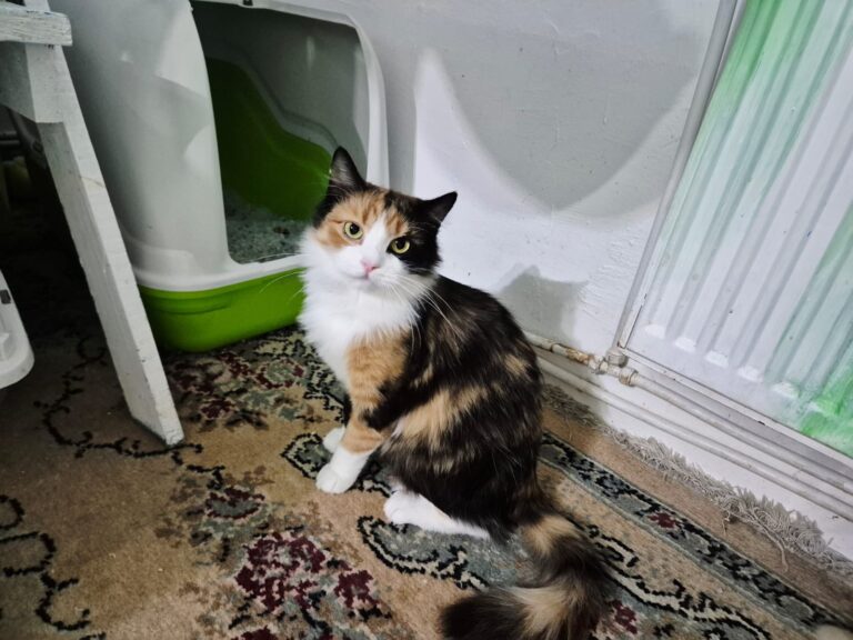 630237850_10241457981450349_8943030419206913468_n