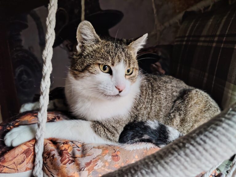 630382084_10241458808471024_5266604068463083241_n