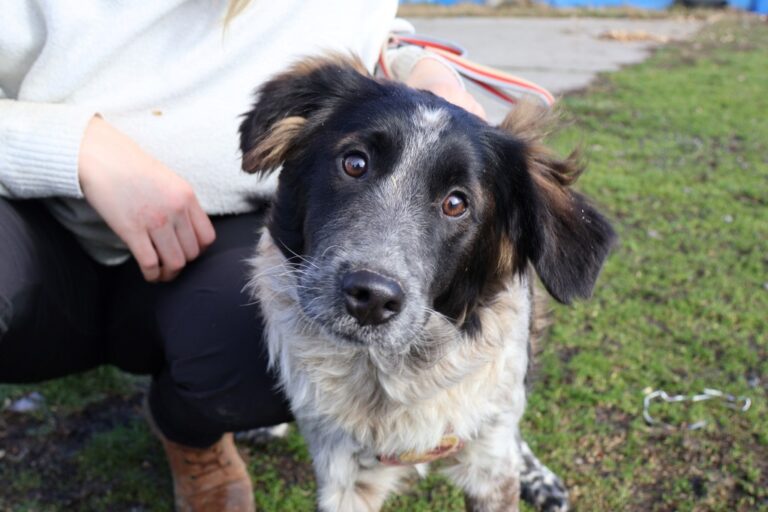 631164947_1244500500972764_8230850462247766953_n