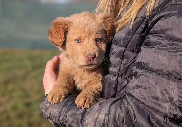 631202893_3390821887735201_1043217900929705347_n