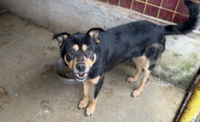 631458877_1245496647539816_8489807114373550882_n