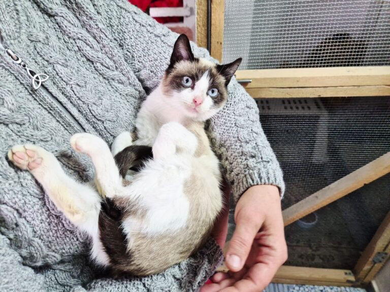 631727122_10241458429821558_81603222707413756_n