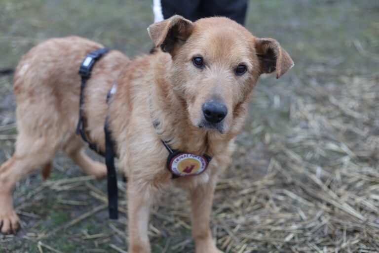 631766173_25811789625180115_3300367897823442754_n