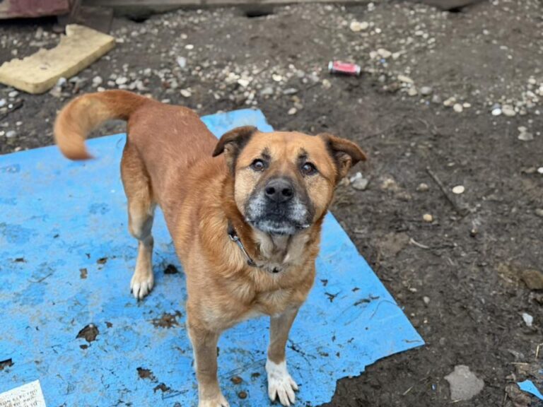 631975067_1244200914336056_2873400884315079467_n