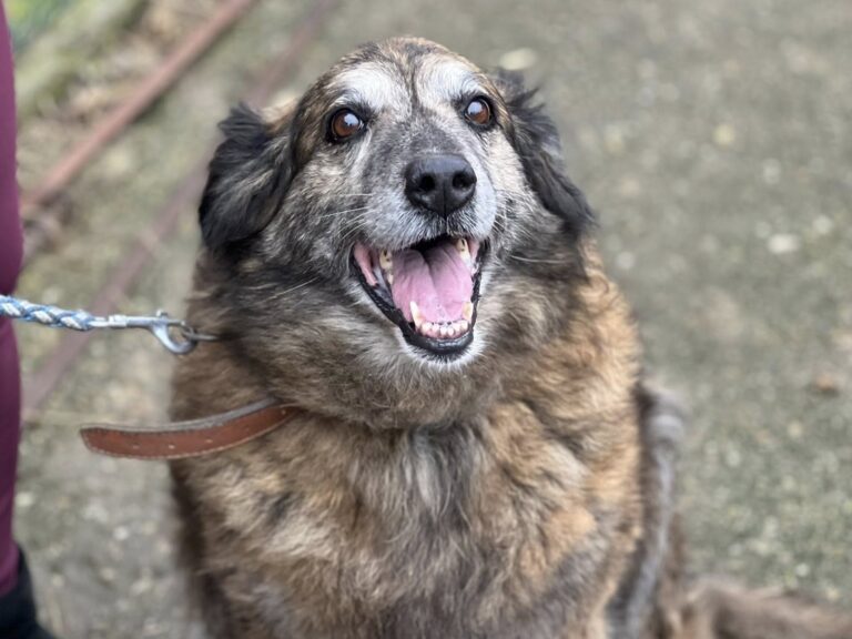 632511979_25767783742871509_7753530970892728762_n