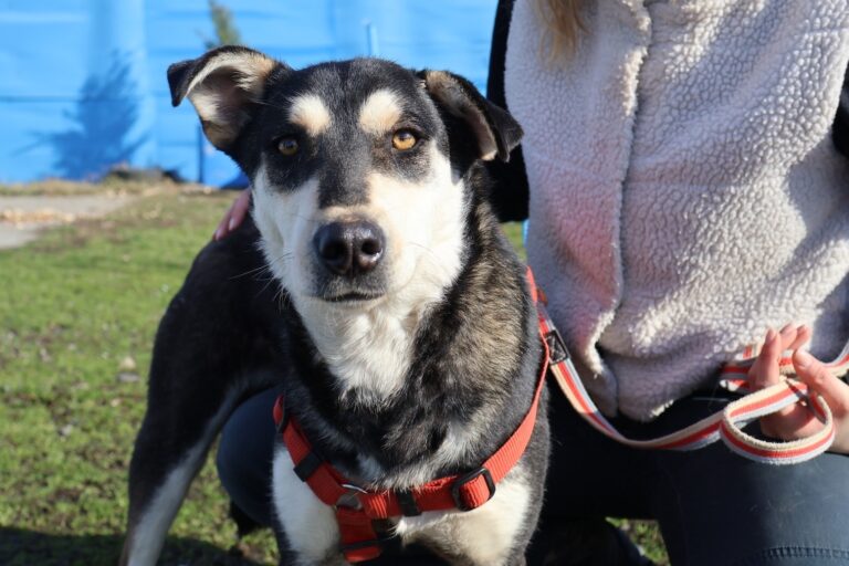 632755372_1244298507659630_4020215725088403882_n