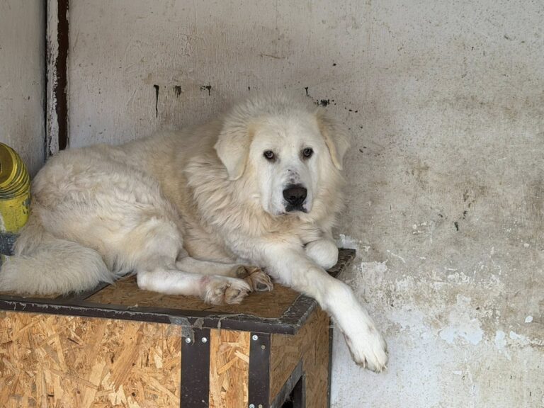 632966454_1245494134206734_2585510658024805936_n