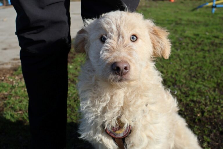 633013243_1245139767575504_2073493536143888492_n