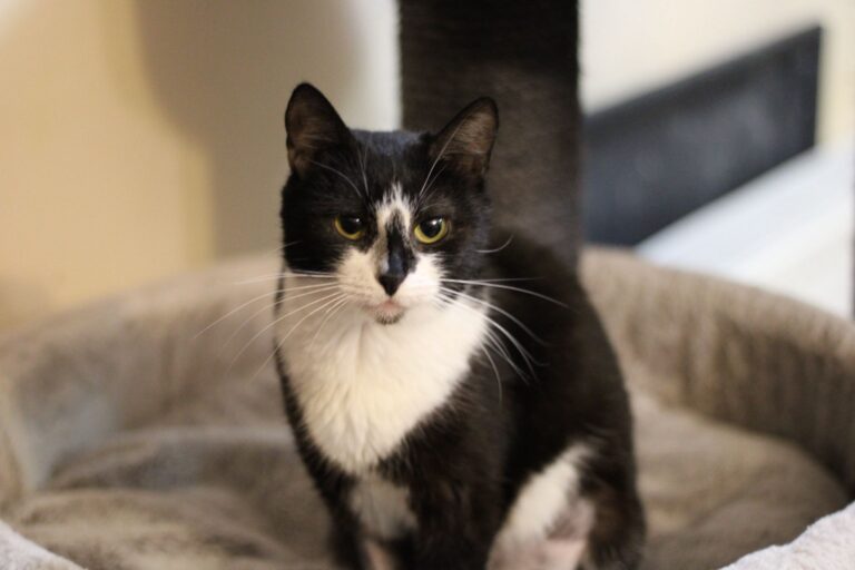 633123186_26141810895431690_1159000811376035660_n