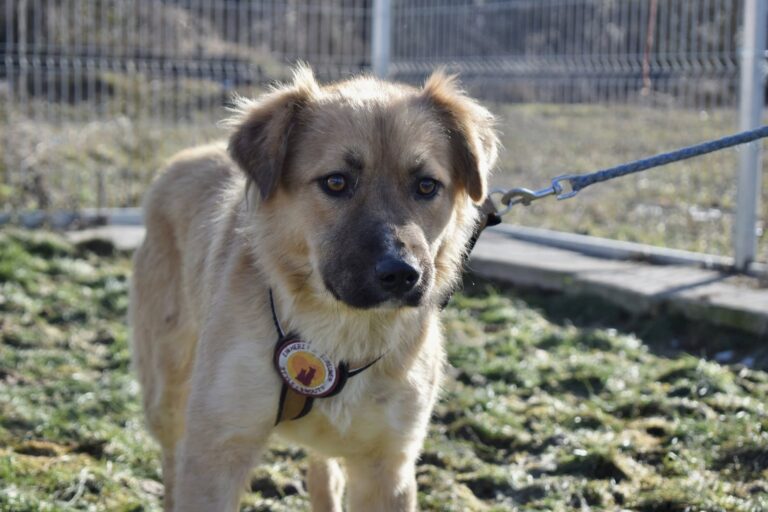 633177470_4200665036849966_2665286434663525896_n