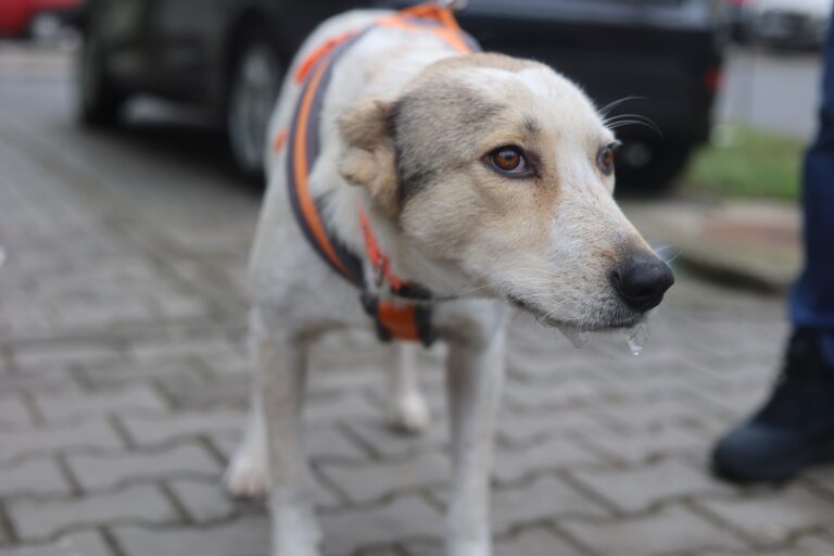 633182553_25828506223508455_6656248490650140058_n