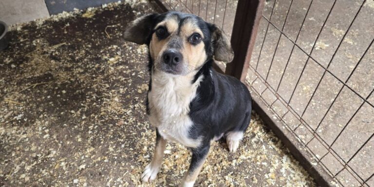 633439858_3405631146265837_4302978278095501169_n