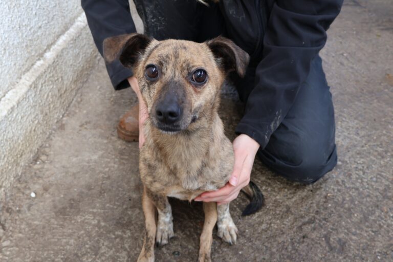 633509279_1244383590984455_7384116848614987282_n