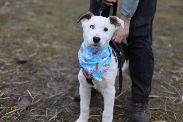 633770613_25811249305234147_932026246861183492_n