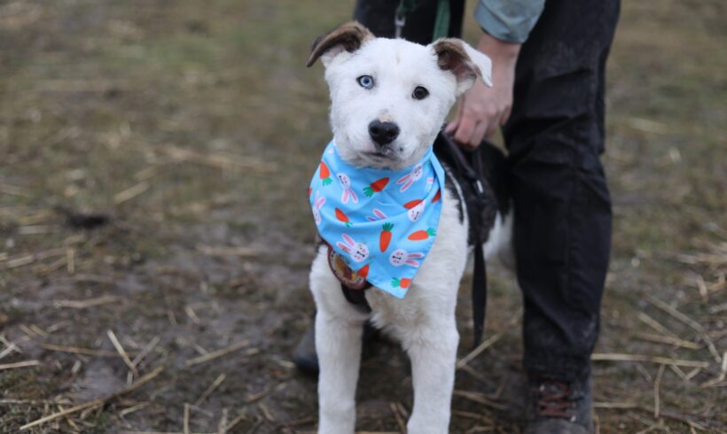 WILLY – reserviert