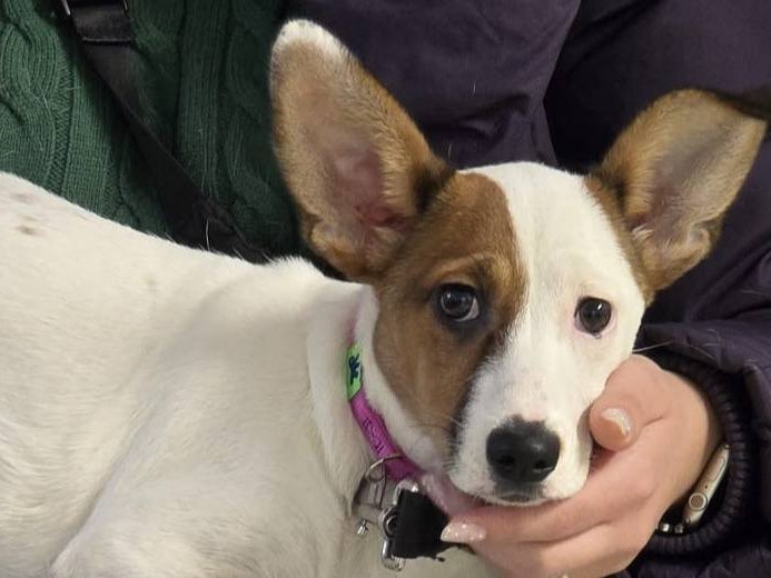 634032020_2949280998599215_1107772005283091621_n