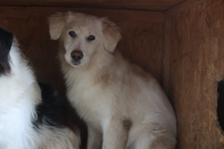 634063774_25828474840178260_4245147033344159300_n