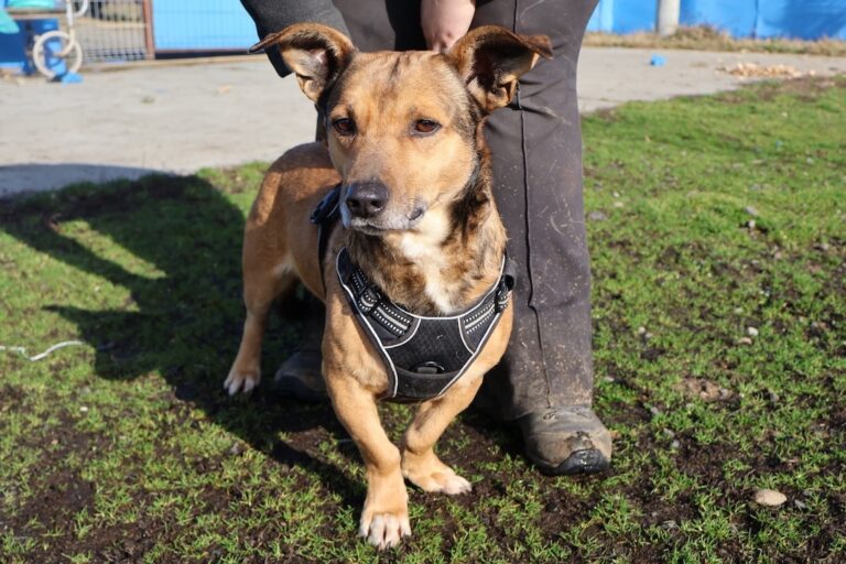 634109420_1244293700993444_7881836560542031161_n