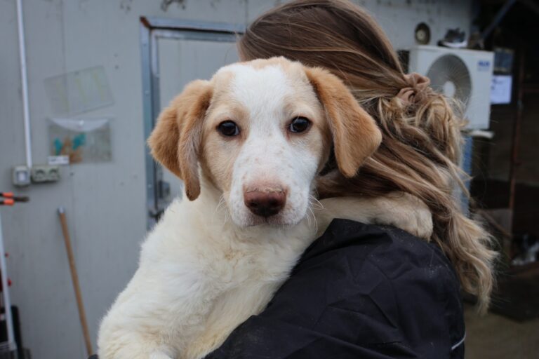 634127137_1244282647661216_8451279931125967729_n