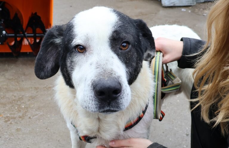 634137911_1244316487657832_5691640569016483062_n