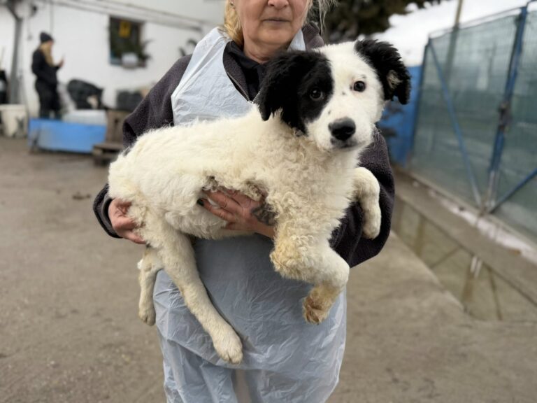 636947925_1250234057066075_6056415761057581300_n