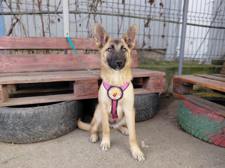 637465060_10241588158504694_2790776170953536847_n