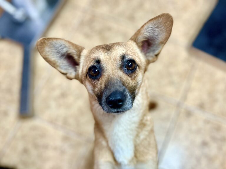 638027835_4207267479523055_5730599692260214354_n