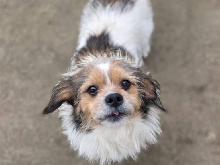 638278682_2955524394641542_7939498618338787550_n