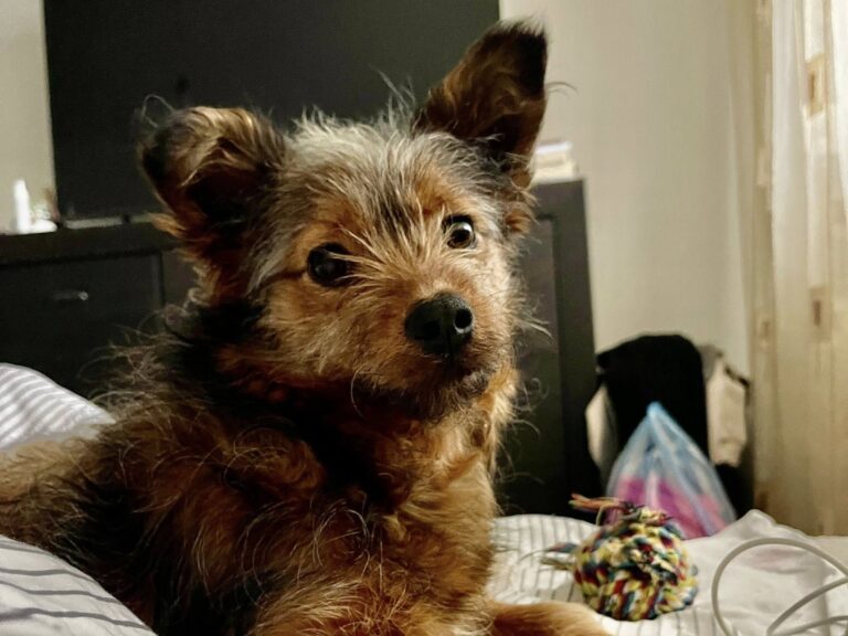 639170834_10163927944236462_2536337131615367653_n