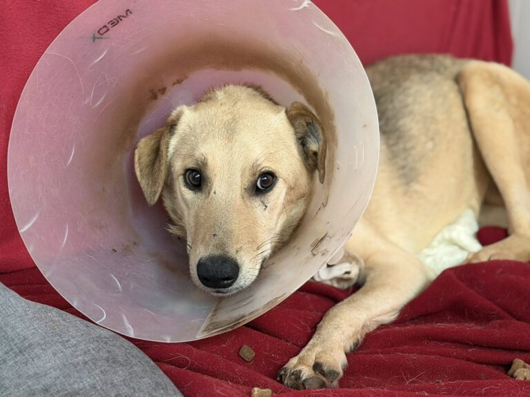 639420487_1254368209985993_2023623846860570045_n