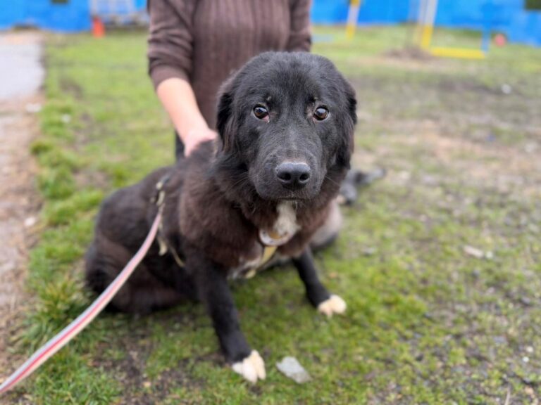 640388966_1254697876619693_3110304779603111029_n