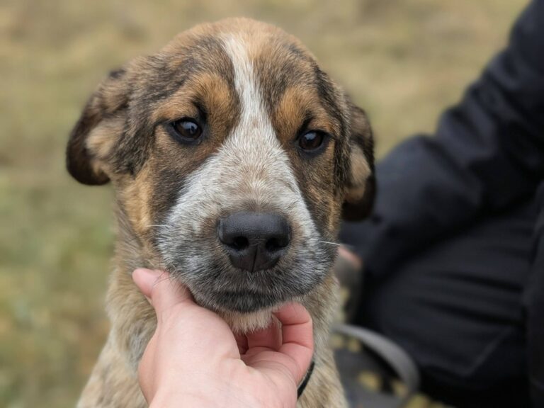 641053149_26090863697266935_462734359571820189_n