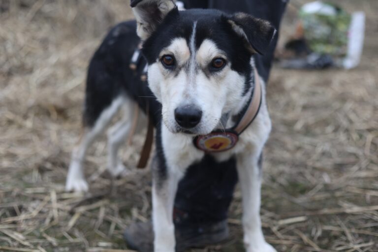 641293644_25932720239753719_4928621657171796085_n