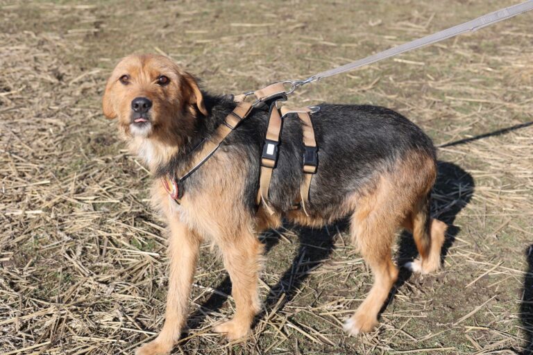 641343975_25931762049849538_4423030384658714718_n