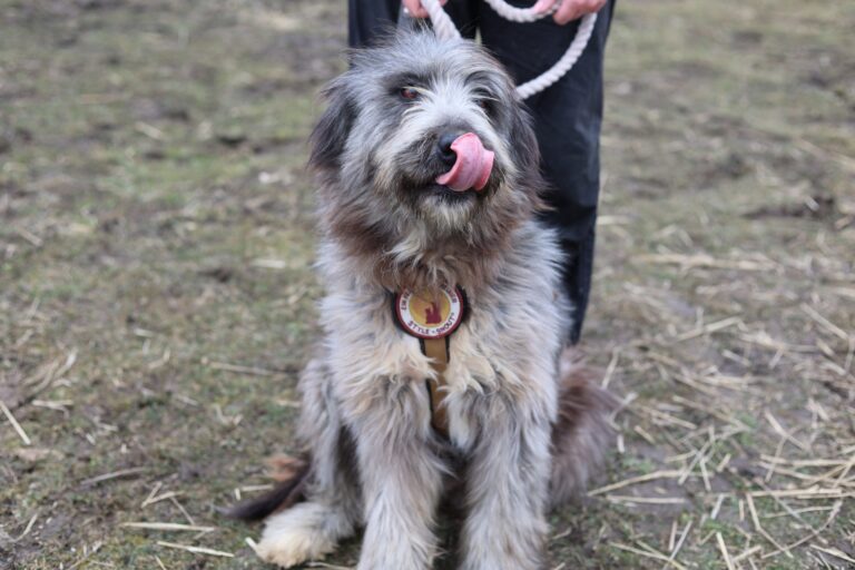 641610713_25932050233154053_4524885897471131534_n