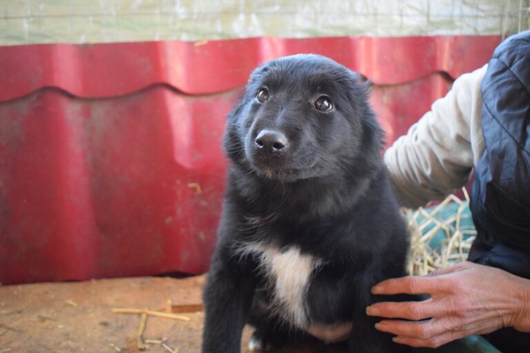 644409556_4217440508505752_5019507649583662918_n