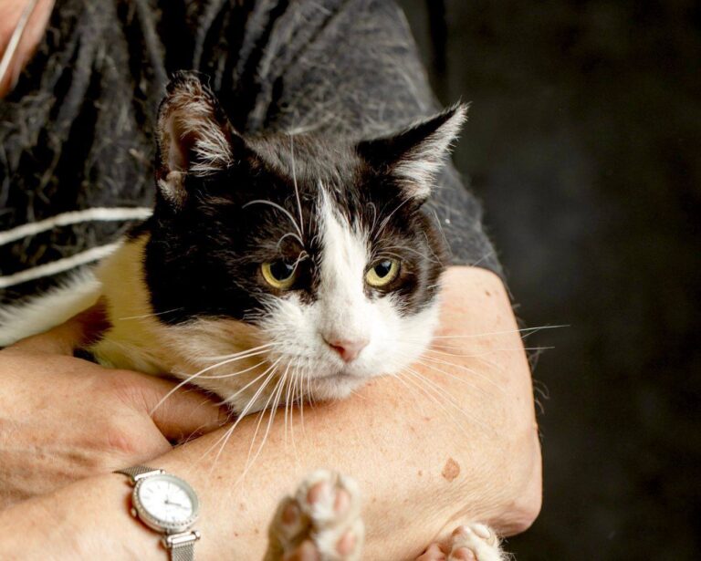 644721860_26655373770736368_8060002920015007161_n