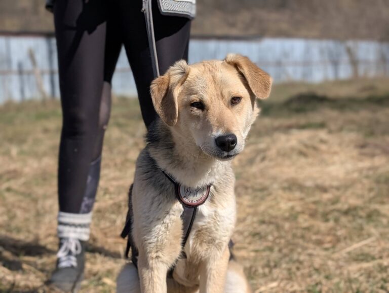 653703545_26295301093489860_7518863246739870366_n