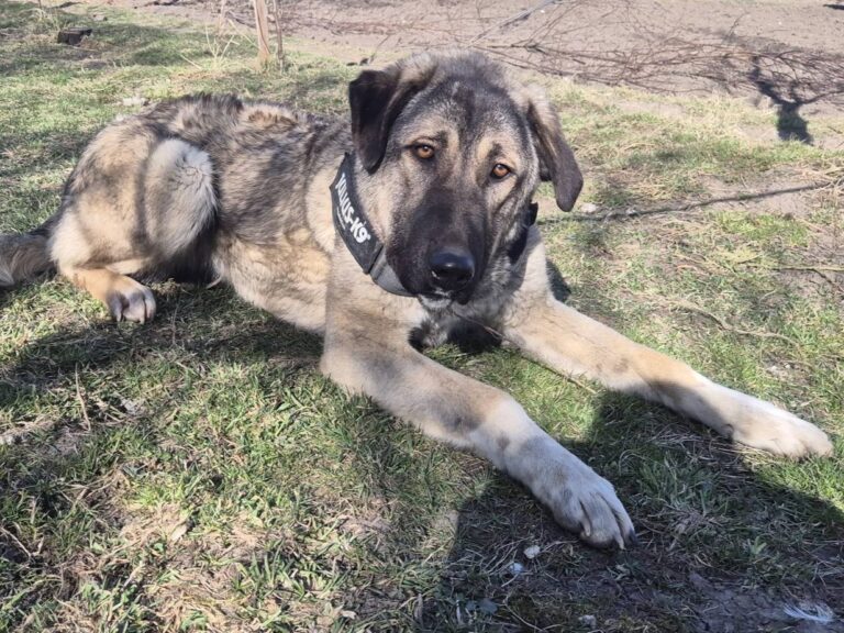 653704175_26295097083510261_2980529188807571625_n