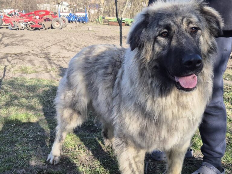 653715283_26295101150176521_5334897778374425928_n